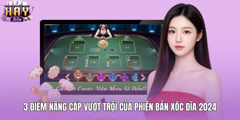 Cải tiến minh bạch và đồ họa sảnh xóc đĩa 2024