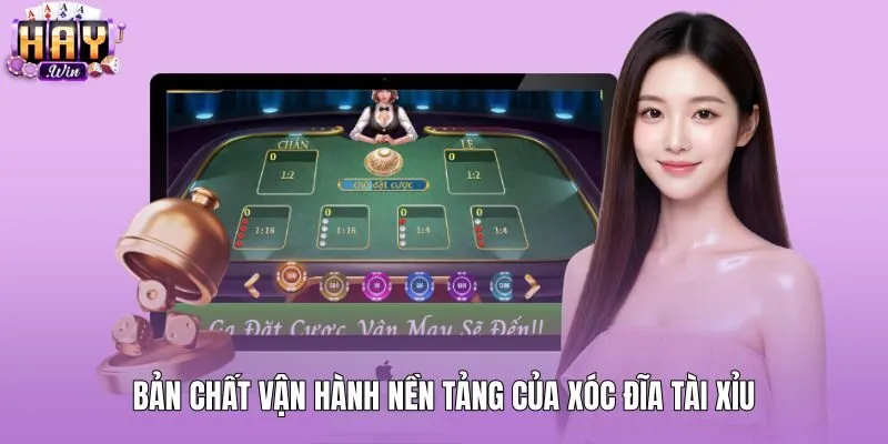 Cơ chế phân định kết quả xóc đĩa tài xỉu trực tuyến