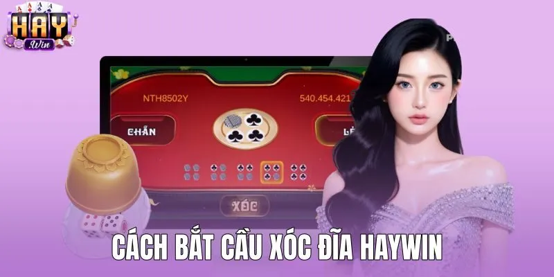 Cách Bắt Cầu Xóc Đĩa HAYWIN