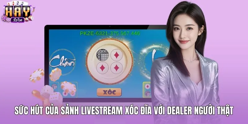 Livestream Xóc Đĩa Dealer Thật Không Độ Trễ Tại HAYWIN Bàn livestream xóc đĩa cùng Dealer người thật tương tác trực tiếp