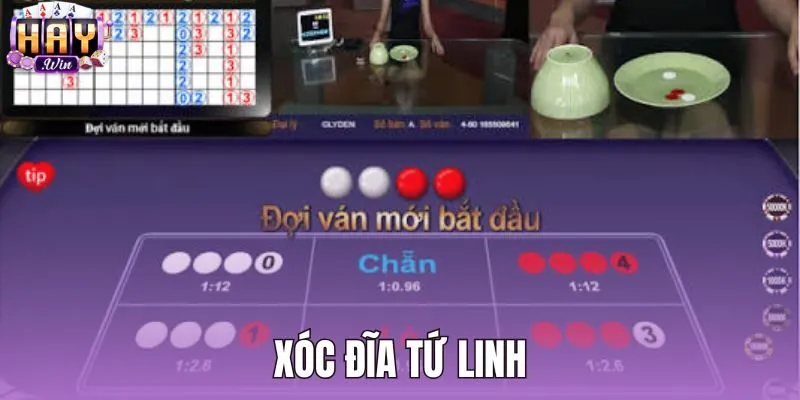 Xóc Đĩa Tứ Linh - Luật Cược Chi Tiết Và Săn Hũ HAYWIN